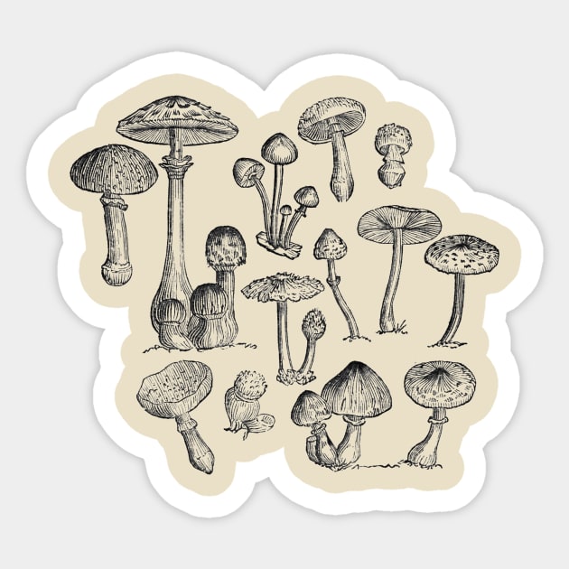 fungi Sticker by mydearboy